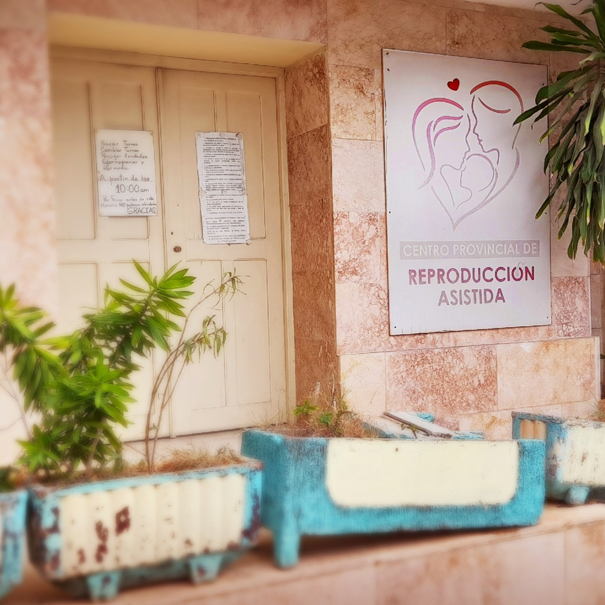Nuevo reglamento para la reproducción asistida en Cuba: posibilidades y limitaciones